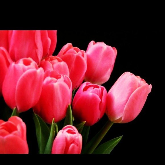 Meet your Posher, Asia - Picture 1 of 1